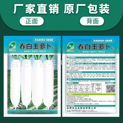 春白玉萝卜种子春不老白萝卜种籽大田种植罗卜种孑蔬菜籽厂家批发图2