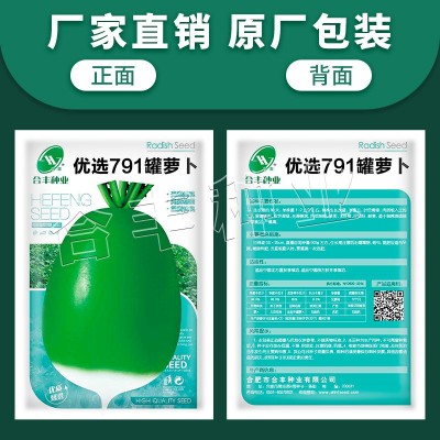 合丰优选791青萝卜种子四季播辣萝卜籽口感甜脆抗病大田蔬菜种子图2