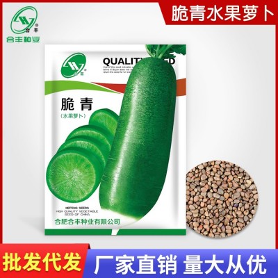 脆青水果萝卜种子40g山东潍坊大田沙窝萝卜种籽夏季抗热罗卜籽种