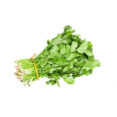 农家小叶香菜种子四季阳台盆栽蔬菜种籽孑菜籽菜种老品种香菜籽图5