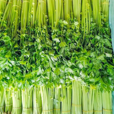 小香芹种子种籽四季阳台庭院盆栽抗病高产春季秋季菜籽农家蔬菜孑图4