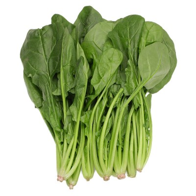 大叶菠菜种子肉菠菜种籽四季秋冬季南方菜籽种阳台盆栽农家蔬菜孑图5