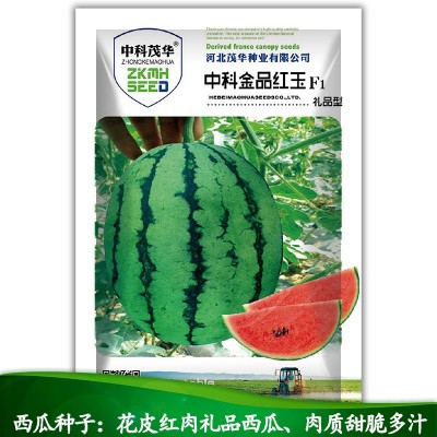 中科茂华水果蔬菜种子中科金品红玉礼品西瓜种子花皮红肉小果