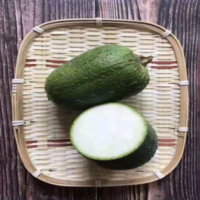 种子 厂家批发苹果丝瓜种子四季种植 采摘园品种图3