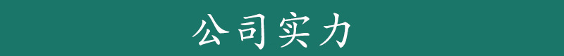公司实力