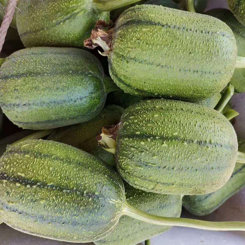 苹果丝瓜8