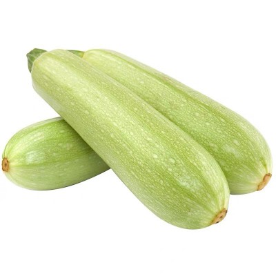 蔬菜种子 越夏西葫芦种子 西葫芦夏丰厂家销售批发蔬菜种子、种苗图5