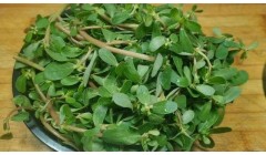 韭菜伤胃，马齿苋伤肾…蔬菜吃对才是真的好！