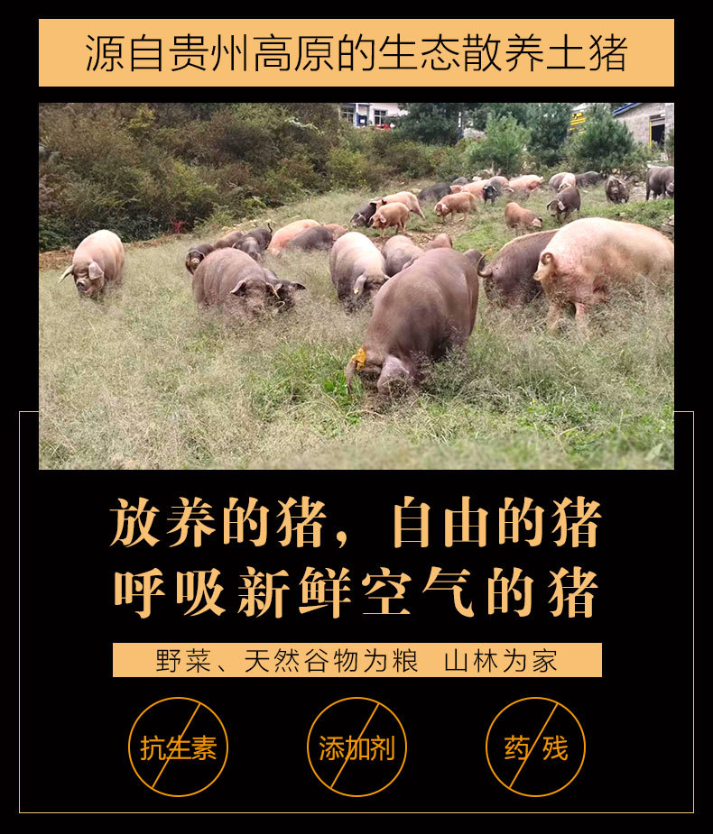 腊肠详情页_08.jpg