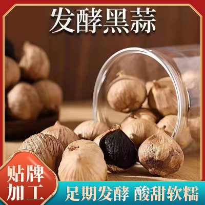 黑大蒜生产批发黑蒜500克罐 酸甜个大诚招代理OME厂家独头黑蒜