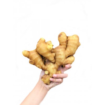 安丘生姜保鲜姜风干姜图4