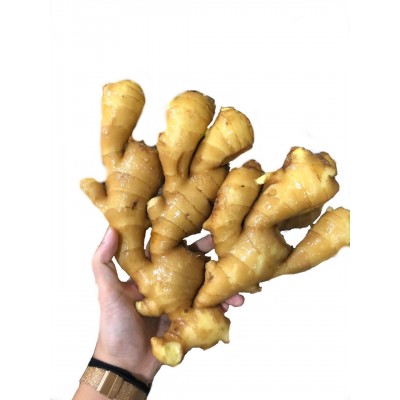 安丘生姜保鲜姜风干姜图5