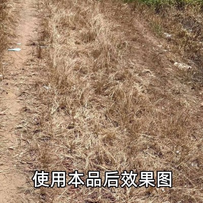 灭草剂滴酸草甘膦除草剂荒地沟渠田埂牛筋草小飞蓬芦苇死根烂根剂图3