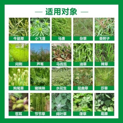 农药红太阳20%敌草快二氯盐杂草除草剂200g*50瓶正品厂家包邮图5