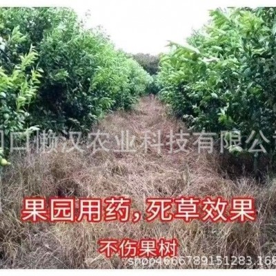 农药红太阳20%敌草快二氯盐杂草除草剂200g*50瓶正品厂家包邮图4