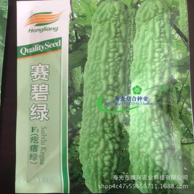 荷兰引进 赛碧绿F1苦瓜种子 疙瘩绿 耐低温热 露天大棚