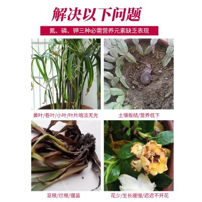 大包装5斤三元复合肥水溶园艺颗粒缓释肥多元素氮磷钾贝 可施批发图5