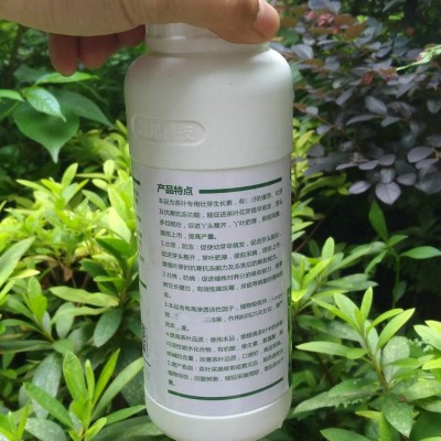 贝乐源 茶叶用催芽素 催芽剂 含氨基酸水溶肥 壮芽先锋多芽嫩芽图2