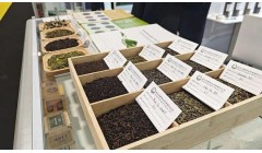 通城茶叶亮相法国！