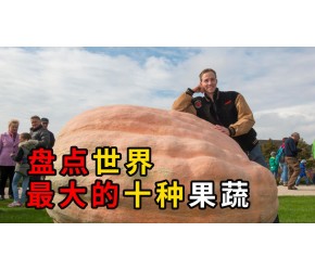 盘点世界上最大的10种果蔬，柠檬比西瓜重，南瓜大到能住人！#蔬菜 #水果 #奇葩