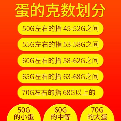 厂家批发流油咸蛋红心真空包装咸鸭蛋 起沙冒油咸鸭蛋代理批发图4