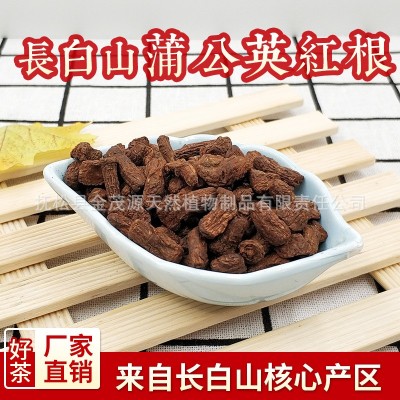 蒲公英红茶根茶 长白山蒲公红根 大中小红茶根 量大批发厂家货源图2