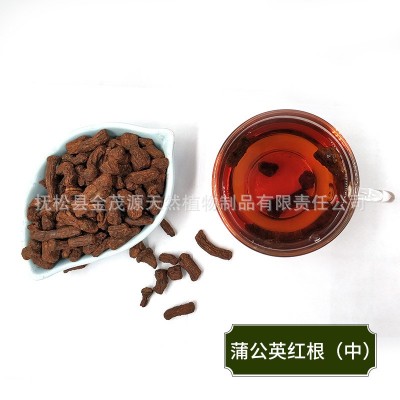 蒲公英红茶根茶 长白山蒲公红根 大中小红茶根 量大批发厂家货源图3