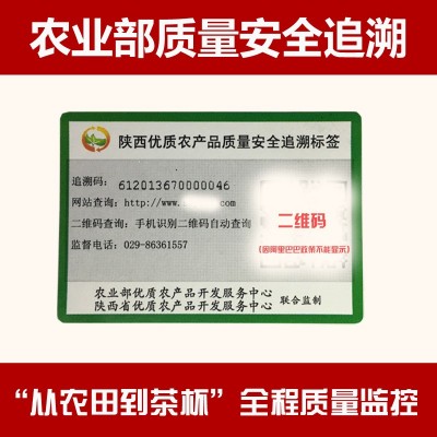 农业部绞股蓝茶叶批发 五叶平利绞股蓝茶龙须批发 绞股蓝茶500g