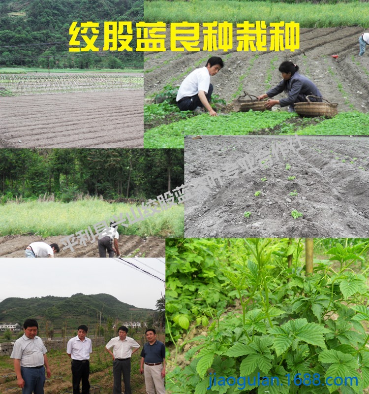 yuzhong