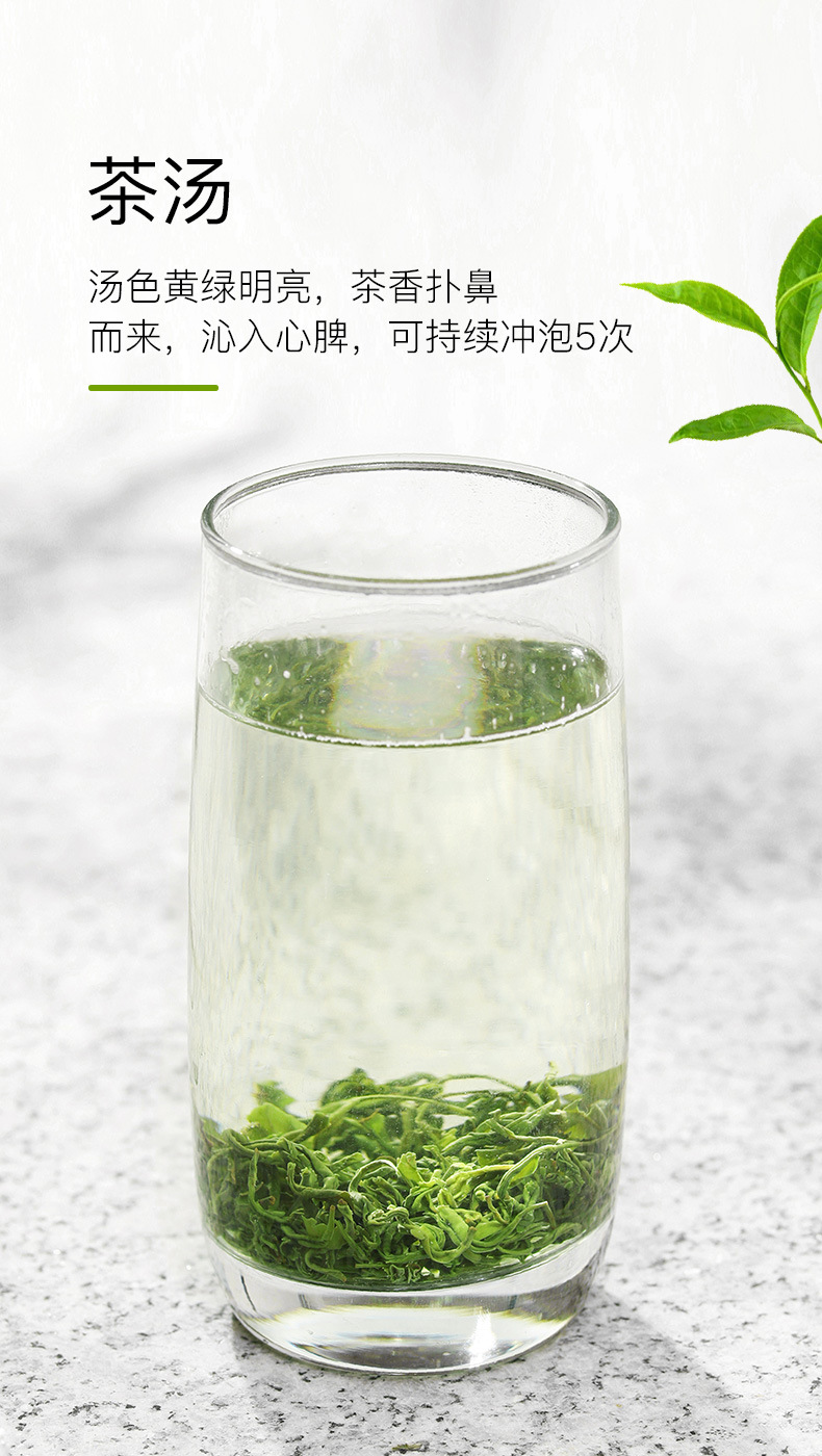 蒙顶绿茶（毛峰头茶）_04