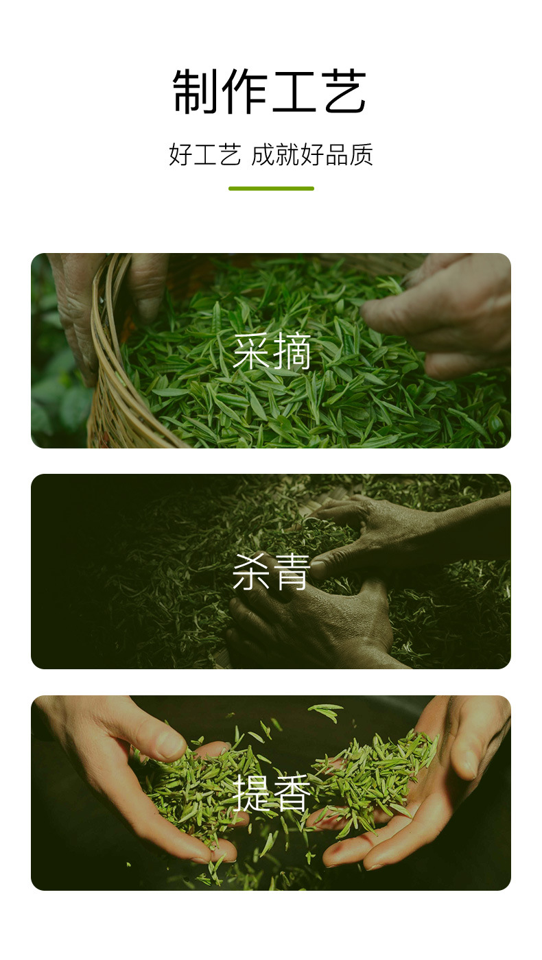 绿茶（碧螺春芯子2#）_09