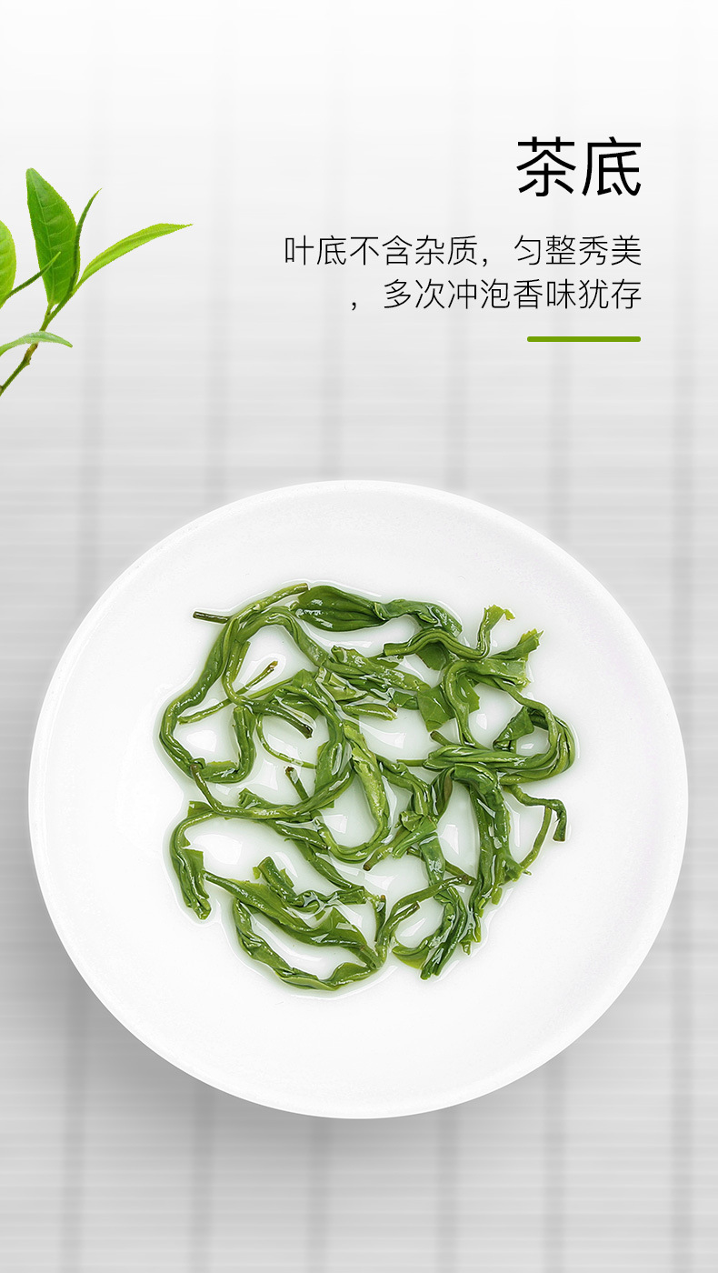 蒙顶绿茶（毛峰头茶）_05