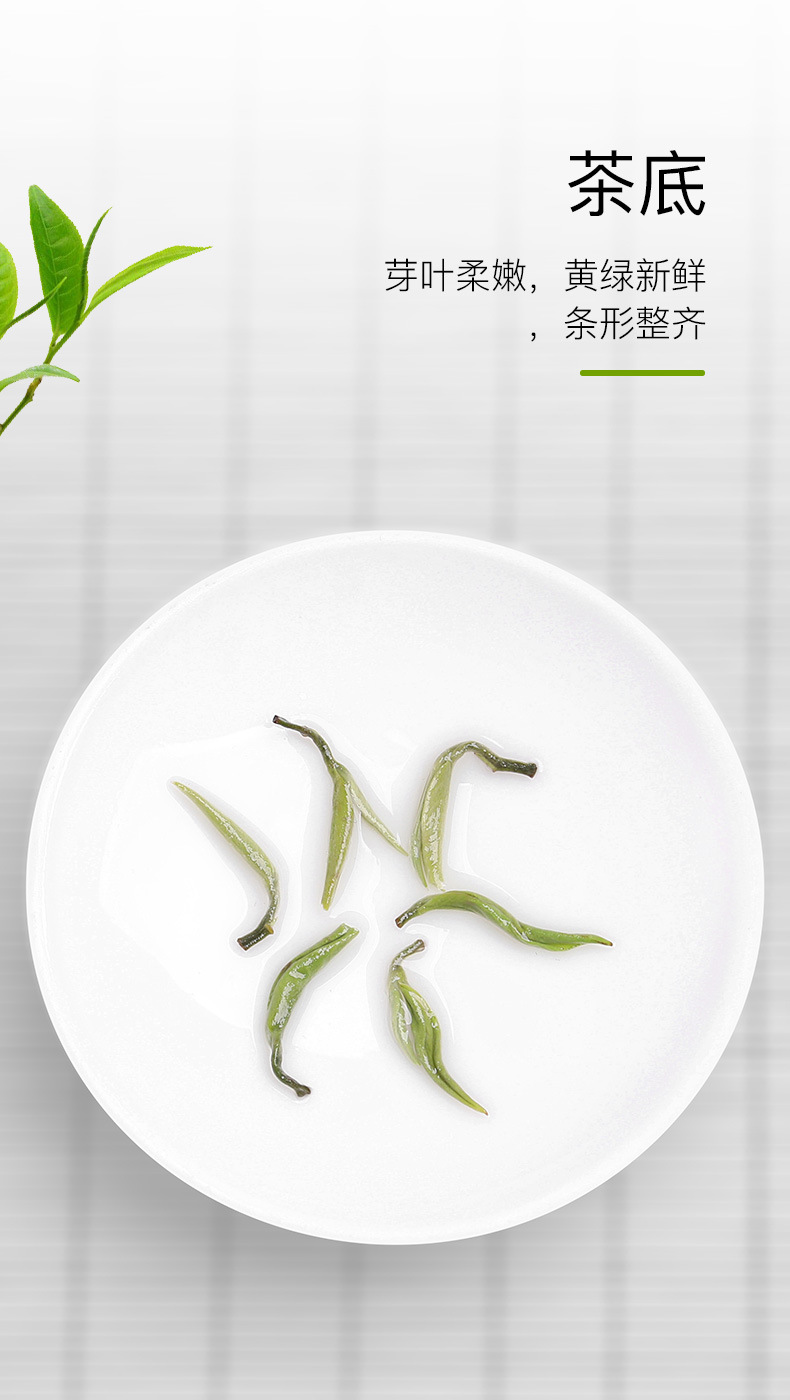 绿茶（碧螺春）_05