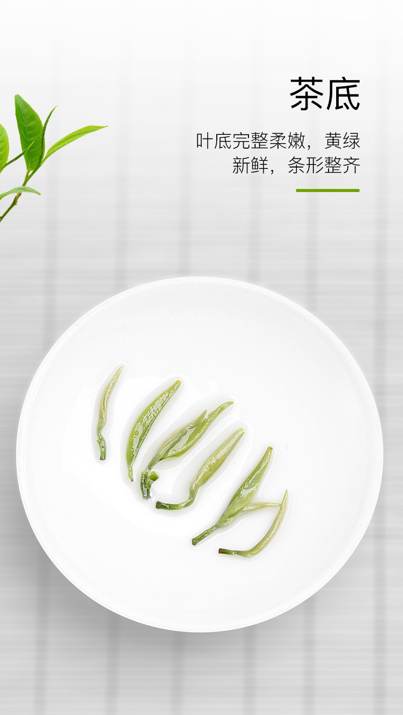 绿茶（清香碧螺春）_05