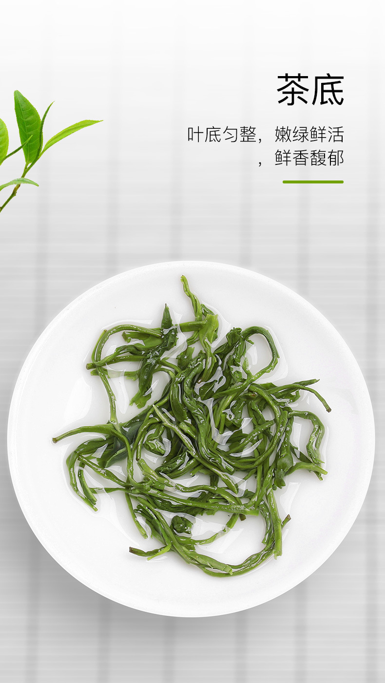 蒙顶山绿茶（香茶3#）_05
