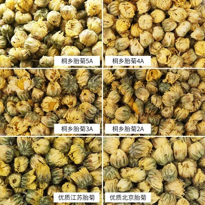 新货桐乡胎菊花茶散装杭白菊花果茶批发菊花500g胎菊散装厂家直销图2