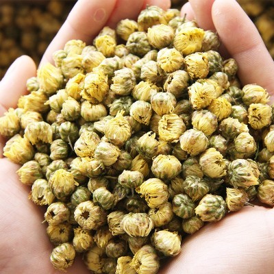 新货桐乡胎菊花茶散装杭白菊花果茶批发菊花500g胎菊散装厂家直销图4