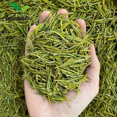 浙江新茶明前茶春茶绿茶安吉工艺浓香型黄金芽茶叶批发散装图3