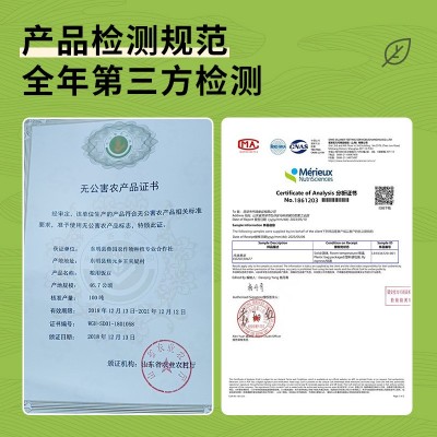 产地工厂 现货直发 大白芸豆 东北白芸豆 云南大白芸豆 大白豆图3