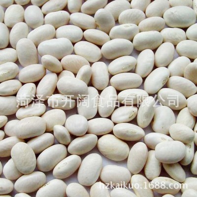 产地工厂 现货直发 大白芸豆 东北白芸豆 云南大白芸豆 大白豆图2