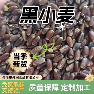 产地工厂 现货直发 黑小麦 黑麦米 山东黑麦 河南黑麦 东北黑麦图1