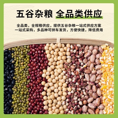 产地工厂 现货直发 双青豆 大青豆 全规格新货 绿心青豆图4