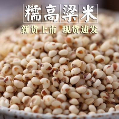 【现货速发】粘糯高粱米1斤红黏高粱包粽子年糕汤圆糍粑粗粮杂粮图3