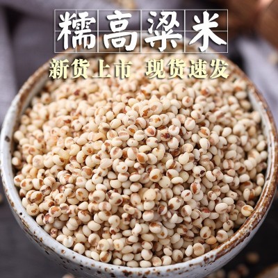 【现货速发】粘糯高粱米1斤红黏高粱包粽子年糕汤圆糍粑粗粮杂粮图2