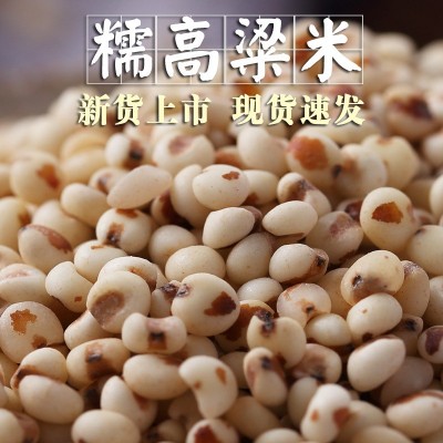【现货速发】粘糯高粱米1斤红黏高粱包粽子年糕汤圆糍粑粗粮杂粮图4