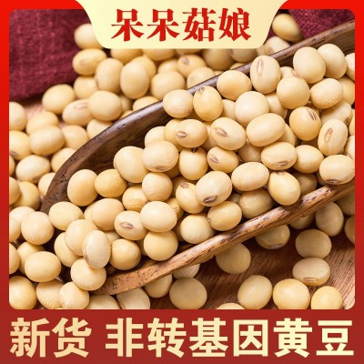 厂家批发黄豆1斤非转基因豆腐豆浆专用大豆新货产地直销杂粮图2