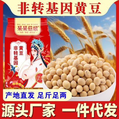 厂家批发黄豆1斤非转基因豆腐豆浆专用大豆新货产地直销杂粮
