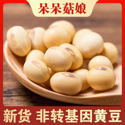 厂家批发黄豆1斤非转基因豆腐豆浆专用大豆新货产地直销杂粮图3