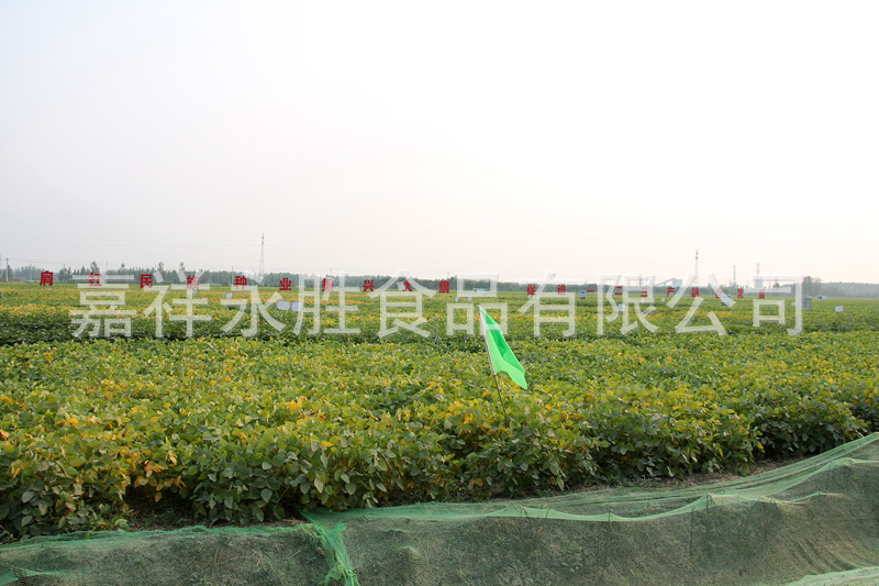 IMG_8180_副本.jpg