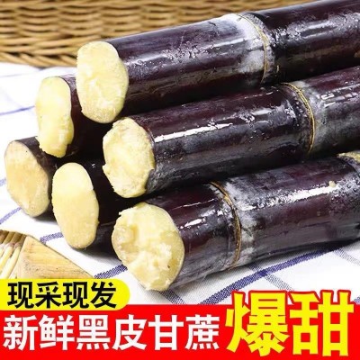 广西黑皮甘蔗新鲜水果现超甜爆汁应季甜柑整箱一件批发